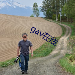 gav在線