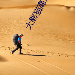 大熊猫高清图片
