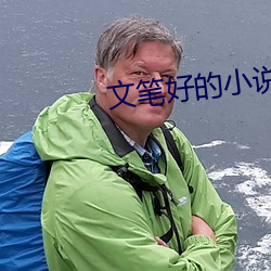 文筆好的小說