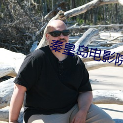 秦(秦)皇(皇)岛(島)电影院