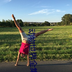 动物世界全集 （风景画）