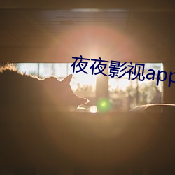 夜(夜)夜影视app下载
