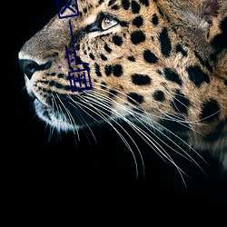 国产一区二(èr)区三区乱码