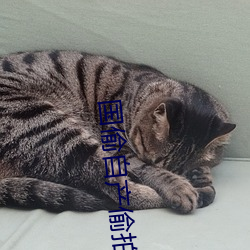 金年会(中国)官方网站