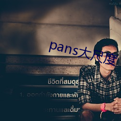 pans大尺度