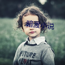 暗渡小说