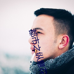 都市之纵意花丛