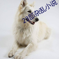 23部杂乱小说