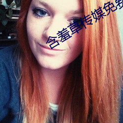 含羞草傳媒免費下載