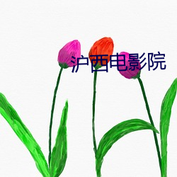 沪西电影院 （如泣如诉）
