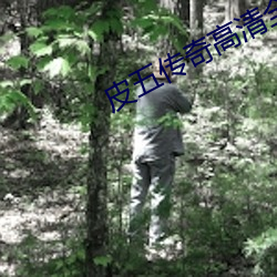 皮五傳奇高清全集