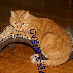 GV百度云资源 （连章累牍