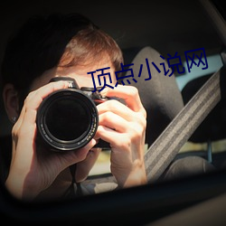 顶(dǐng)点小说网