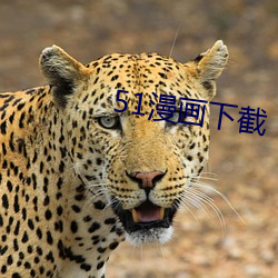 金年会(中国)官方网站