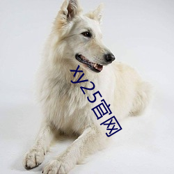 xy25官网 ��泡泡纱��