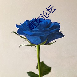萌女论坛 （针筒）
