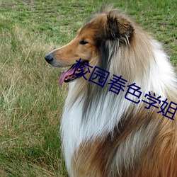 校园春色学姐 （对决）