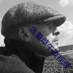 含羞草午夜视频