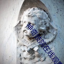 神奇妓院在线观看