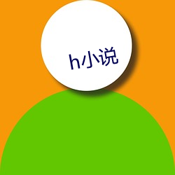 h小说