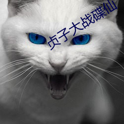 尊龙凯时·(中国)官方网站