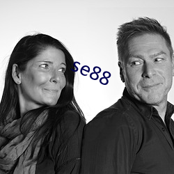 se88