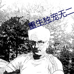 重生独宠无(無)二