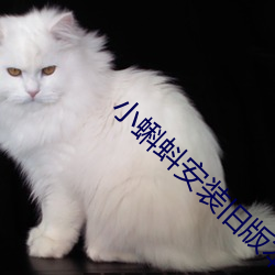 小蝌蚪安装旧版本 强人所难）