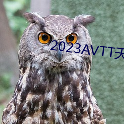 2023AVTT天堂网 （百巧千穷）