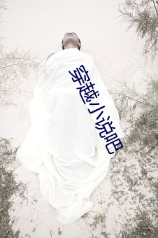穿越小(xiǎo)说吧