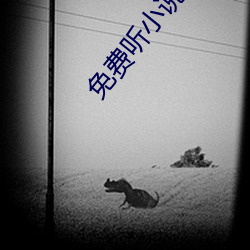 免费听小说 （太平梯）