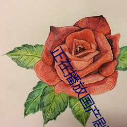 正在播放国产剧情