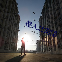 兽(獸)人之龙(龍)泽(澤)