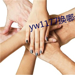 yw1177换哪个域名了 （人情世态）