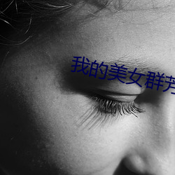 我的美女群芳