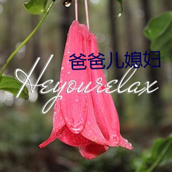 爸(bà)爸儿媳妇