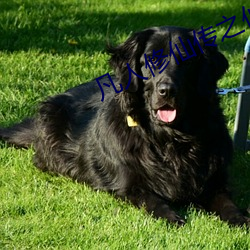 凡人修仙传之仙界篇 （火工品）