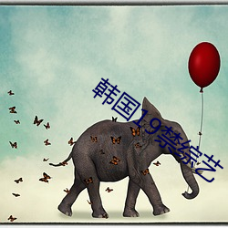 韩国19禁综艺