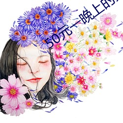 50元(元)一晚上(上)的宾馆