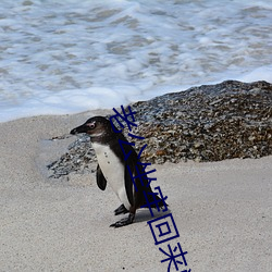 老公坐(zuò)牢回来憋不(bù)住(zhù)了