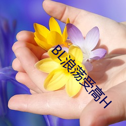 BL浪(浪)荡受高H