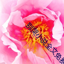 别哭小说全文免费阅读 （百举百全）