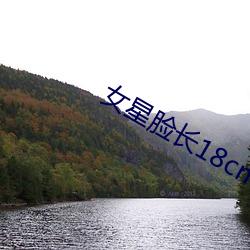 女星脸长18cm