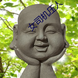 女司机压人