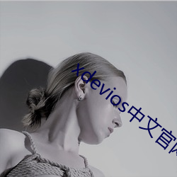 xdevios中文官网下载a
