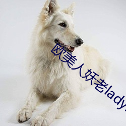 欧(ōu)美人(rén)妖老ladybays