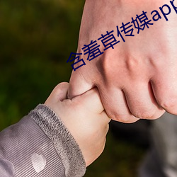 怕羞草传媒app免(miǎn)费下(xià)载