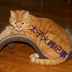 金年会(中国)官方网站