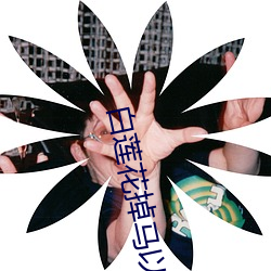 白莲花掉(diào)马(mǎ)以(yǐ)后