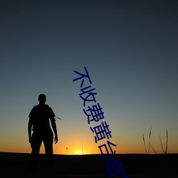 不收费黄(黃)台直(直)播夜蝶